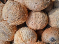 Net weight: 800gr - 2kg