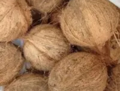 Net weight: 800gr - 2kg