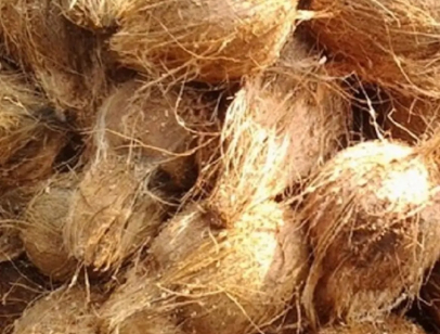 NATA DE COCO (RAW/JELLY/FACE -MASK) - DRY COCONUT