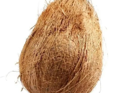 Net weight: 800gr - 2kg