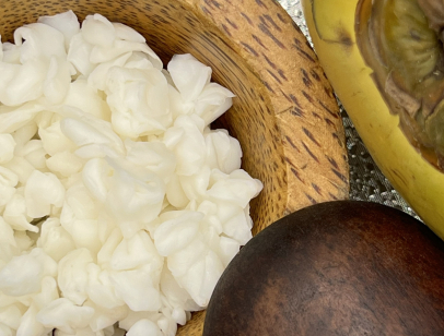 Raw Nata De Coco size (3-4-5-6-7-8-10-12-15)