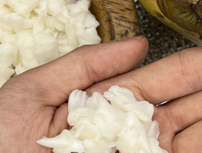 Raw Nata De Coco size (3-4-5-6-7-8-10-12-15)